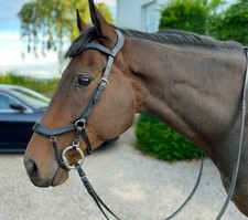 Easy Trek Anatomical Bitted Leather Bridle with Deluxe Gripper Reins