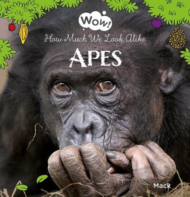 Wow! Apes. How Much We Look Alike by Mack van Gageldonk (English) Hardcover Book