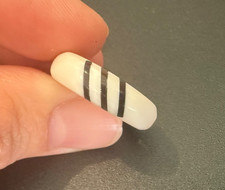 Unisex SeaShell Band Ring - Size 8