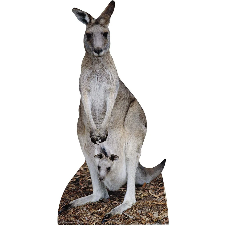 Canguro tamaño natural cartón recorte / standee / standup 195cm x 94cm Australia