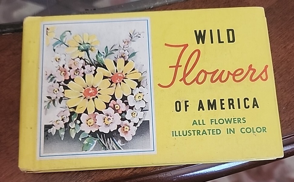 Vintage 1932 WILDFLOWERS Of AMERICA by Jane Harvey Pocket Sized Like