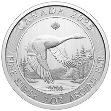 Canada Goose 2025 2 oz $10 Silver BU Coin   Royal Canadian Mint 73.74 per troy oz