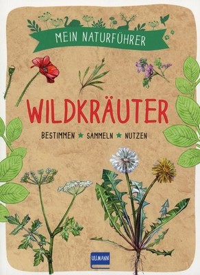 Mein Naturführer - Wildkräuter - Bestimmen Sammeln Nutzen / Francoise Couplan u.