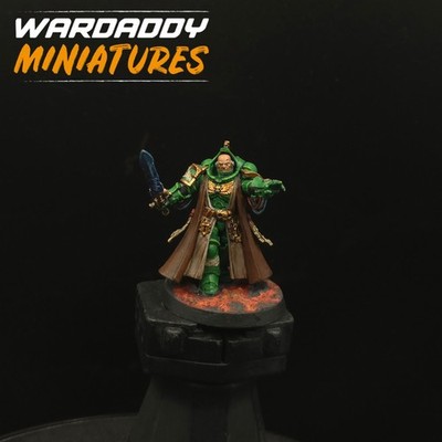 Pro Painted Warhammer 40k Salamanders Primaris Librarian Games Workshop 