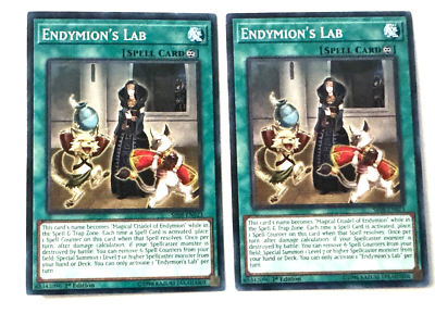 lab deck yugioh Endymion's Lab - SR08-EN023 - Common - 1st Edition - Mint - YuGiOh! X2