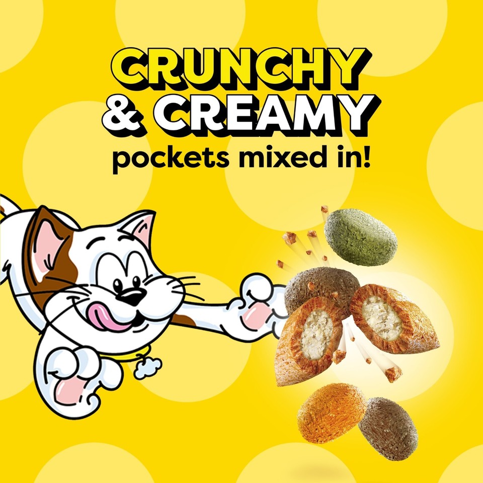 Temptations Tasty Chicken Flavored Adult Dry Cat Food, 13.5 lb. Bag eBay