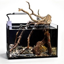 2.8 Gallon Glass Small Fish Tank, Nano Nature Aquarium Starter Kit with Pedes...