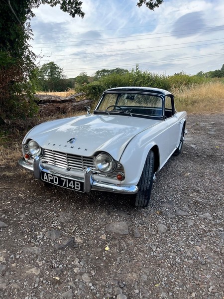 eBay - Triumph TR4 Z20 LER