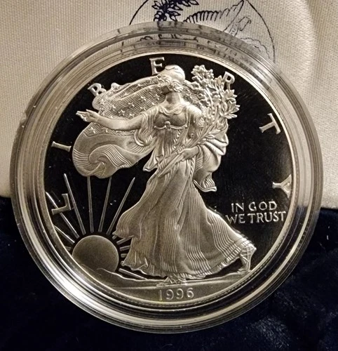 1996-P American silver eagle proof (NO box or COA) case and coin only