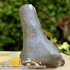 Thalassinoides Trace Fossil Burrows, Upper Chalk, Cretaceous (Derived) -