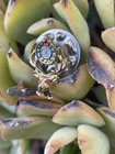 Benevolent and Protective Order of Elks Member Award Pin-BPOE — photo 1