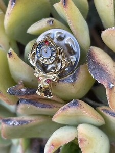 Benevolent and Protective Order of Elks Member Award Pin-BPOE