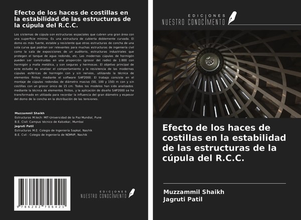 Muzzammil Shaikh (U. A.) | Efecto De Los Haces De Costillas En La Estabilidad...-image