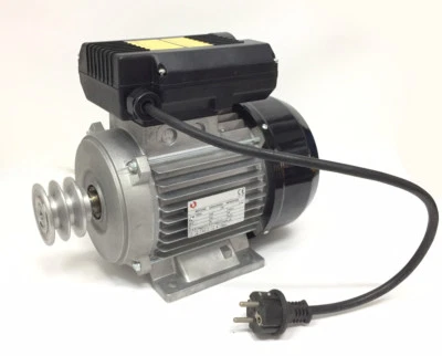 Motore elettrico 1,5 HP 4 Poli con Interruttore e puleggia per betoniera 230 V