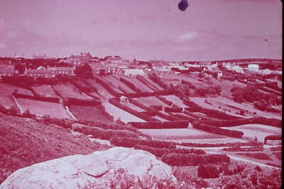 35mm Dia. Eventuell 70er Jahre Hochstadt St. Martin zeigt die Blumenplätze