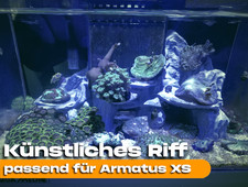 Künstliches PETG Riff passend für Meerwasser Aquarium Aqua Medic Armatus XS