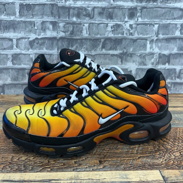 Air Max Tiger Hot Sale, UP TO 66% OFF | www.turismevallgorguina.com