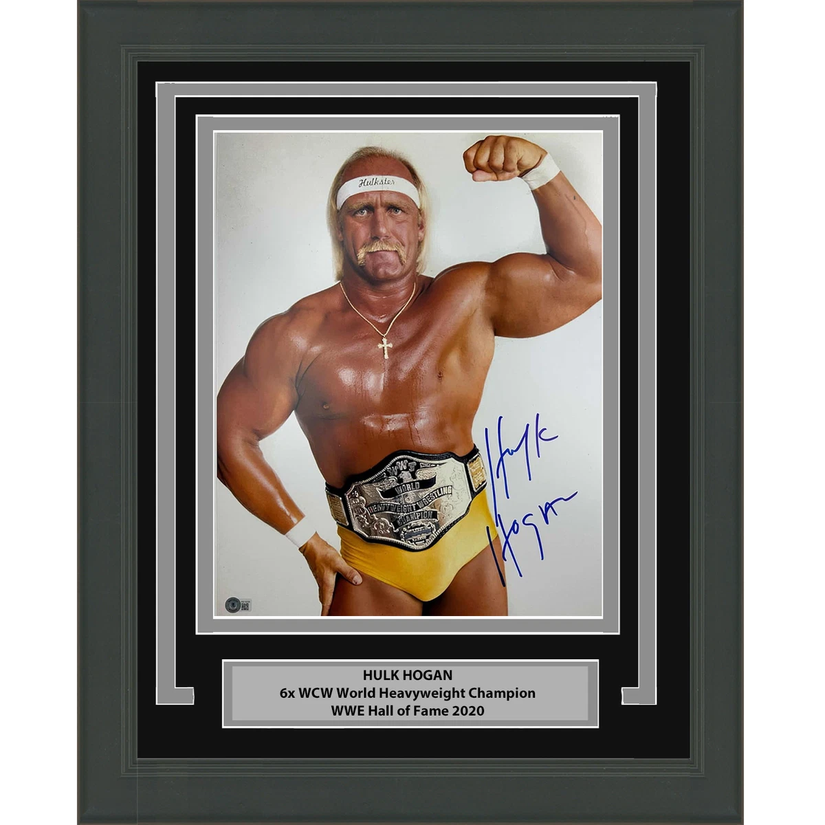 Las mejores ofertas en Hulk Hogan WWE Wrestling artículos con