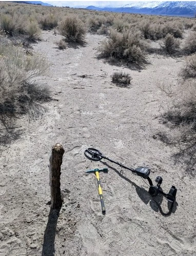 1887-S Liberty Head Gold $5 Half-Eagle US Coin