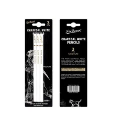 3Pcs Charcoal Pen Sketch Pencil Black White Sketch Pencil Drawing Pencil