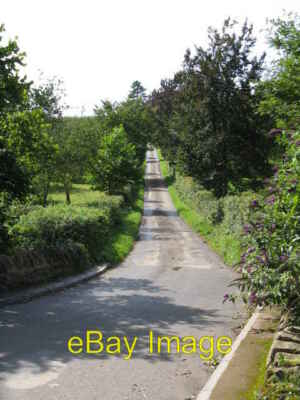 Foto 6x4 Green Lane Evesbatch Die Gasse führt nach Evesbatch Kirche Wette c2008