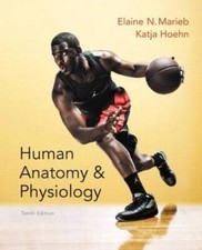 Human Anatomy  Physiology - Hardcover By Elai...