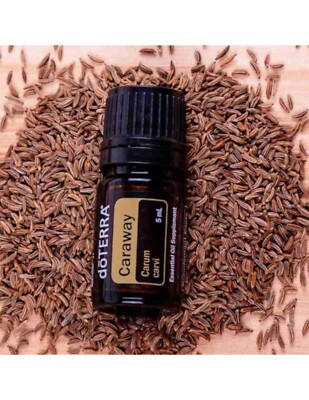 doterra essential oil Caraway