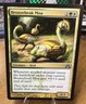 Magic the Gathering MTG Bronzebeak Moa (60) Dragon's Maze   