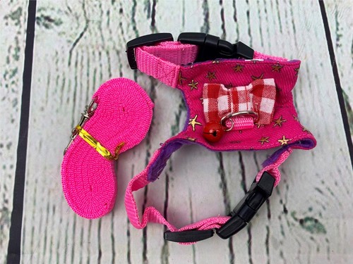 Animal Outdoor Walking Vest Harness and Leash Set with Cute Pink Medium