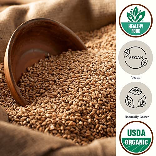 Spelt Farro Grain Organic 5.8 lb Whole Wheat Berries Bulk Ancient