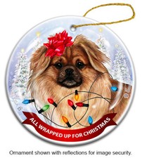 All Wrapped Up Ornament - Fawn Tibetan Spaniel
