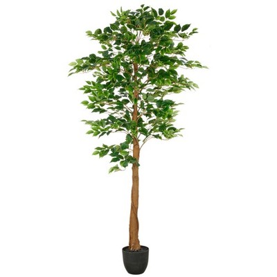 Kunstpflanze Ficus Benjamina, Farbe grün, inkl. Kunststoff-Topf, Höhe ca. 180 cm