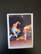 Ric Flair 1992 WCW Euroflash Sticker WWE WWF - number 208