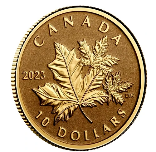 🇨🇦 2023 Canada 1/20 oz. Pure Gold Coin  - Everlasting Maple Leaf 🍁 - Image 3 of 4