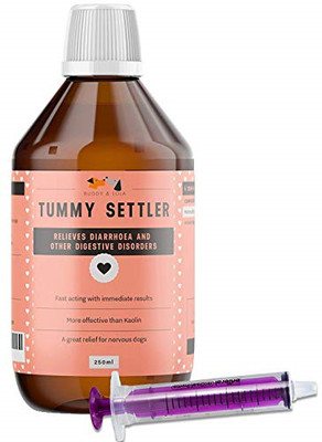 buddy and lola happy tummy