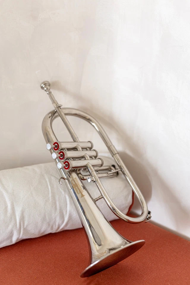 镍面 Bb 3v FLUGEL-HORN 最佳优质仪器 FLUGELHORN BRASS。 — 第 2/4 张图片