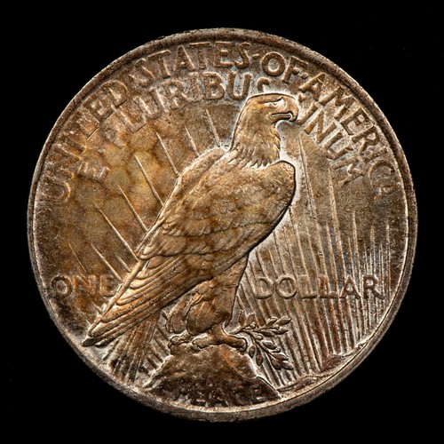 1923 $1 Silver Peace Dollar - Honeycomb Textured Pattern Toning - SKU-D6097 - Bild 10 von 10