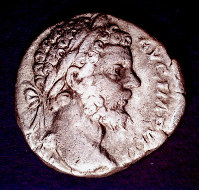 Roman Septimius Severus Silver Denarius 193-211 AD VF Scarce COA