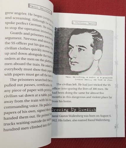 RAOUL WALLENBERG Holocaust Biographies Swedish Diplomat Humanitarian STREISSGUTH - Picture 8 of 15