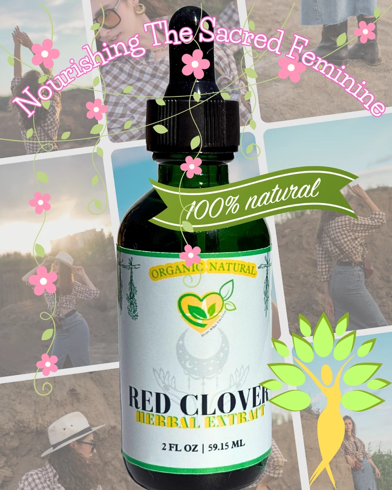 Extracto de hierbas sin alcohol de trébol rojo 2 oz | Desintoxicación natural y apoyo hormonal Foto 3 de 4