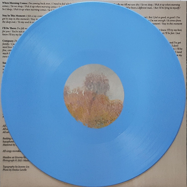Strawberry Guy - Sun Outside My Window - ALT/INDIE *SEALED