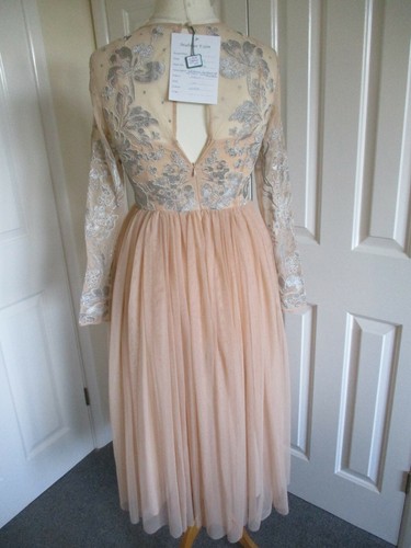 Beautiful Asos Nude, Silver Embroidered Occasion/ Bridesmaid Dress- Size UK10 - Picture 6 of 11