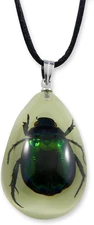 REALBUG Green Chafer Beetle Glow in The Dark Necklace, Small , Black