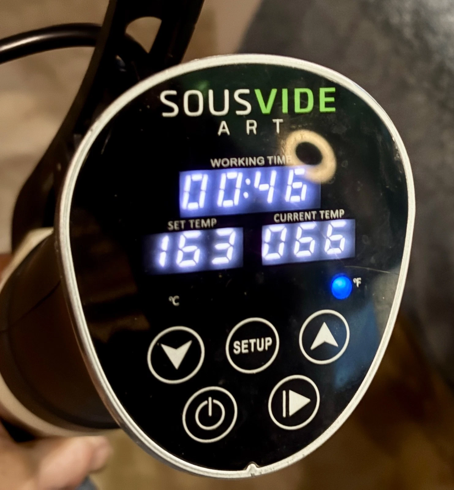 SousVide Art Precision Immersion Circulator Cooker SVA-00010 1000W Tested Works
