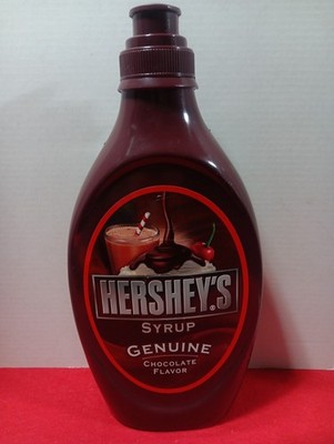 Hershey's Genuine Chocolate Flavor Syrup 18.5 inch Piggy Bank Coin Bank Sticker