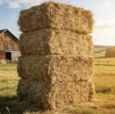 Heuballen HD Bund Ernte 2025 - Futter für Hasen, Schafe, Ziegen, Rinder, Pferde