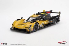 Cadillac V-Series.R No.01 2024 IMSA Sebring 12 Hrs 1:18 Scale Topspeed TS0605