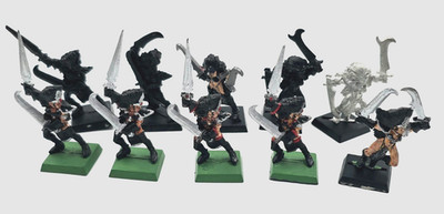 Witch Elf Regiment Dark Elves Warhammer Fantasy Dunkelelfen bemalt metal classic