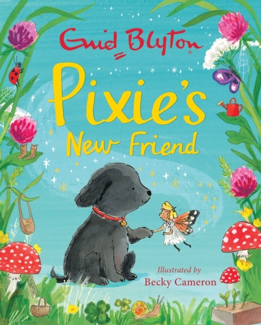 Pixie's New Friend by Enid Blyton (Hardback Book)