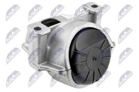 NTY Motorlager ZPS-AU-053 FüR Audi A4 B8 8K2 Avant 8K5 A5 Sportback 8TA Q5 8RB